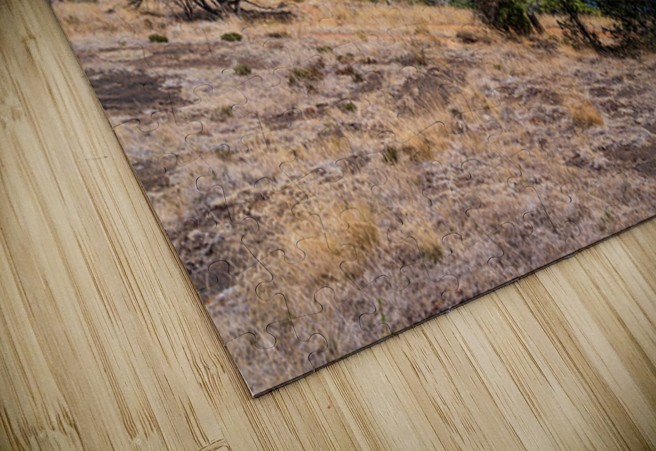 View from the Washington Park overlook over the town of Anacorte Steve Heap Puzzle