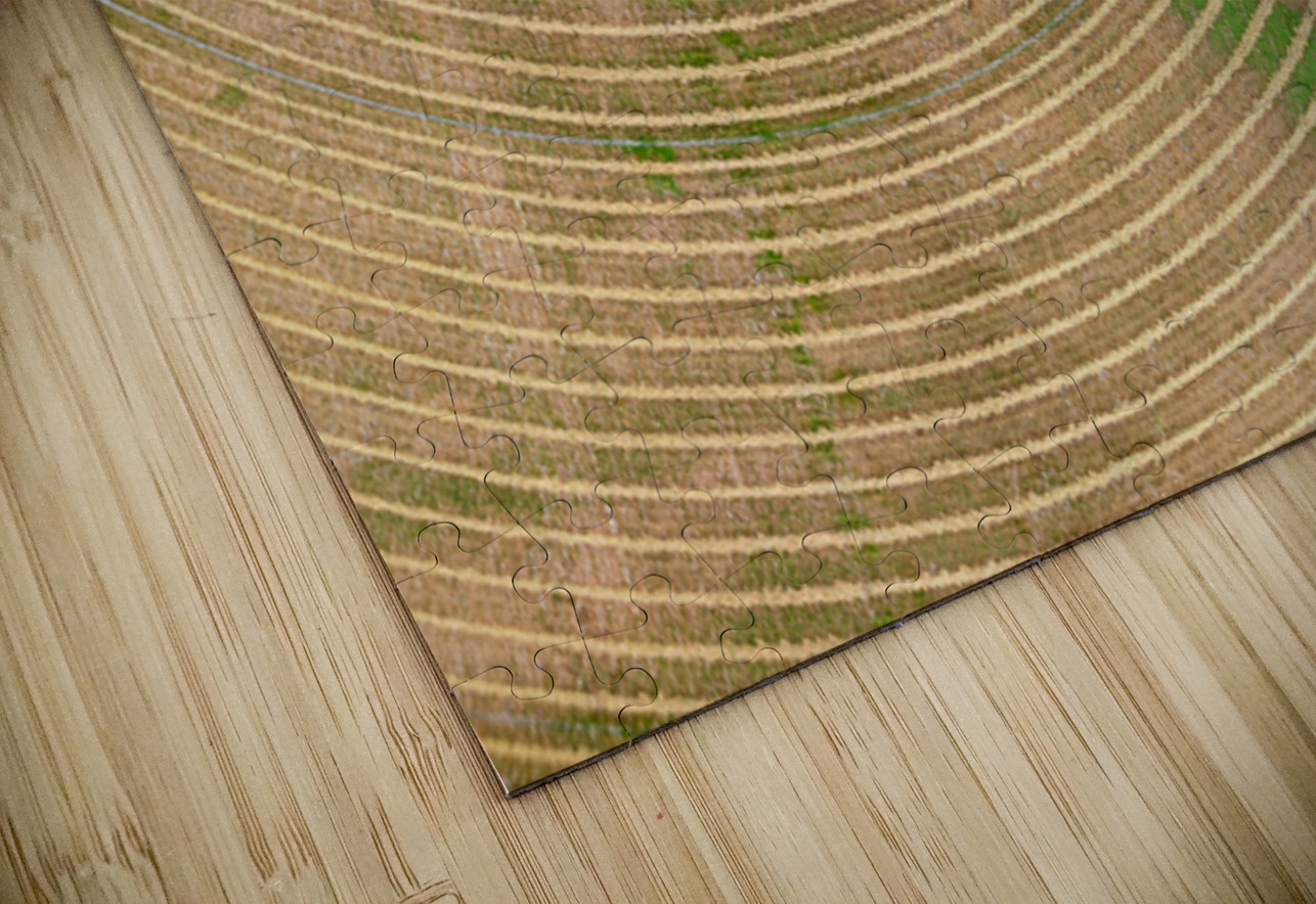 Circular pattern of crops in fields seen from drone near Winthro Steve Heap Puzzle