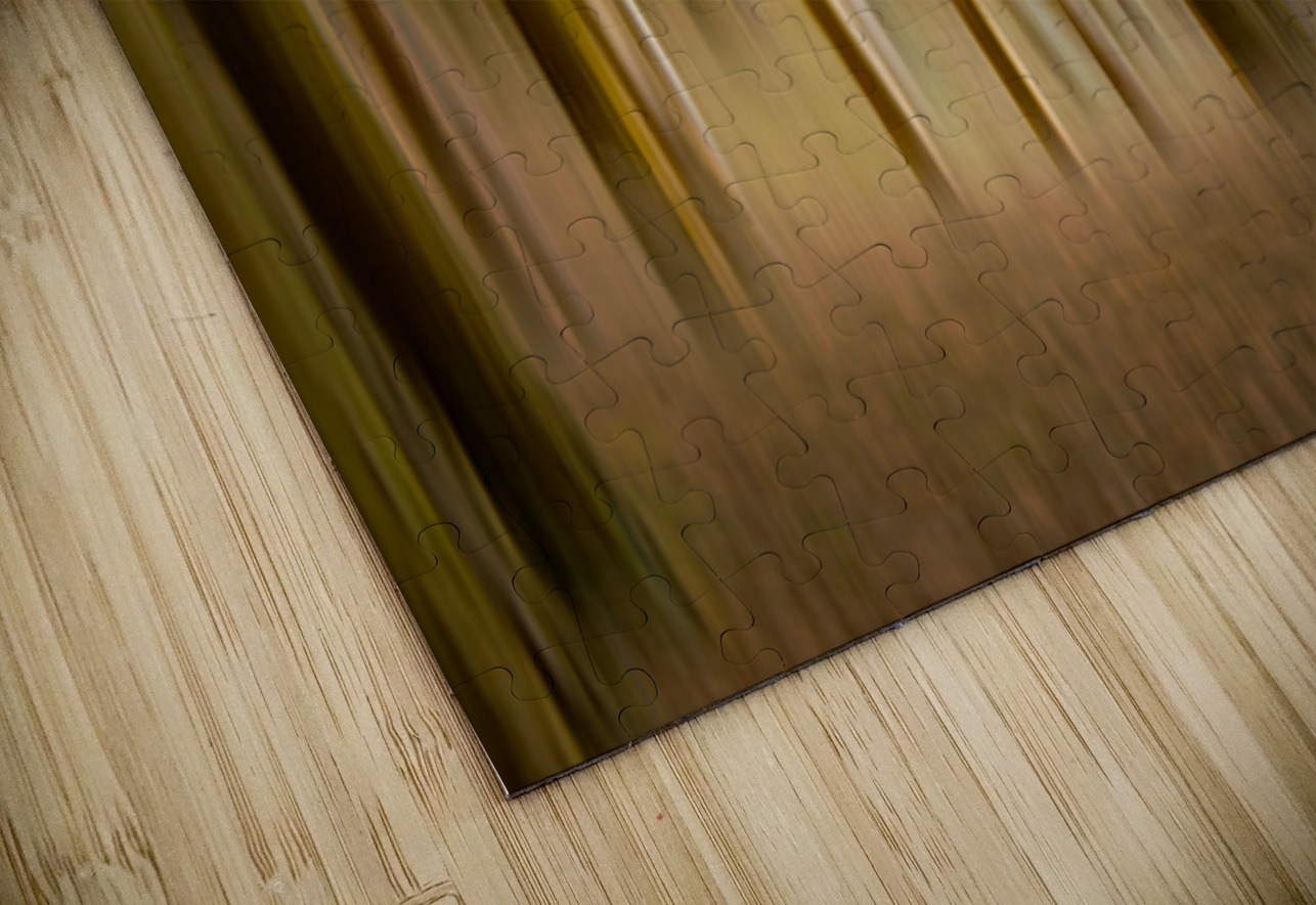 Path through pine trees with intentional camera movement Steve Heap Puzzle