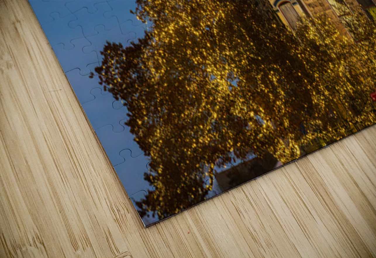 Sunset behind the Old Masonic Lodge in Georgetown Texas Steve Heap Puzzle