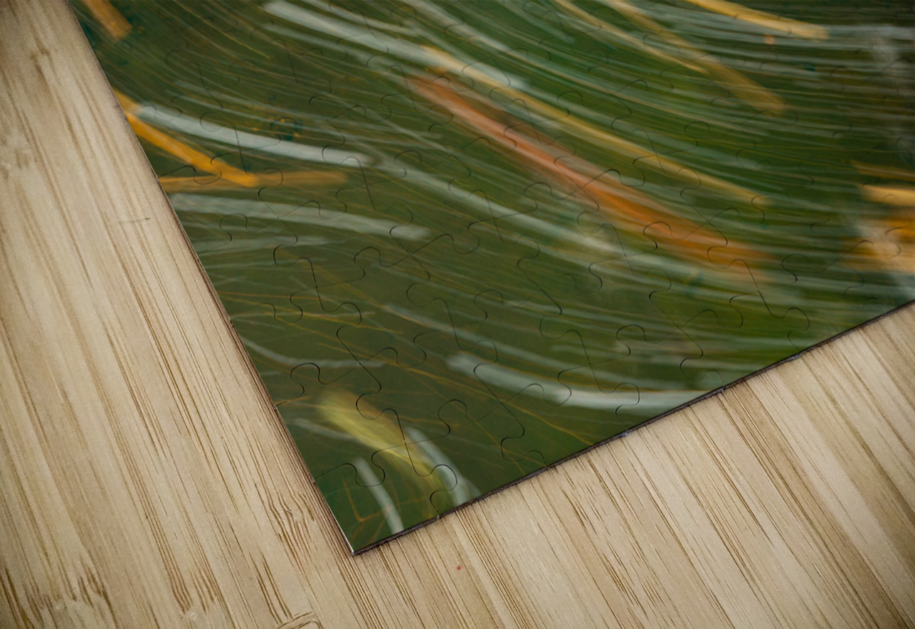 Swirling leaves on Deckers Creek Steve Heap Puzzle