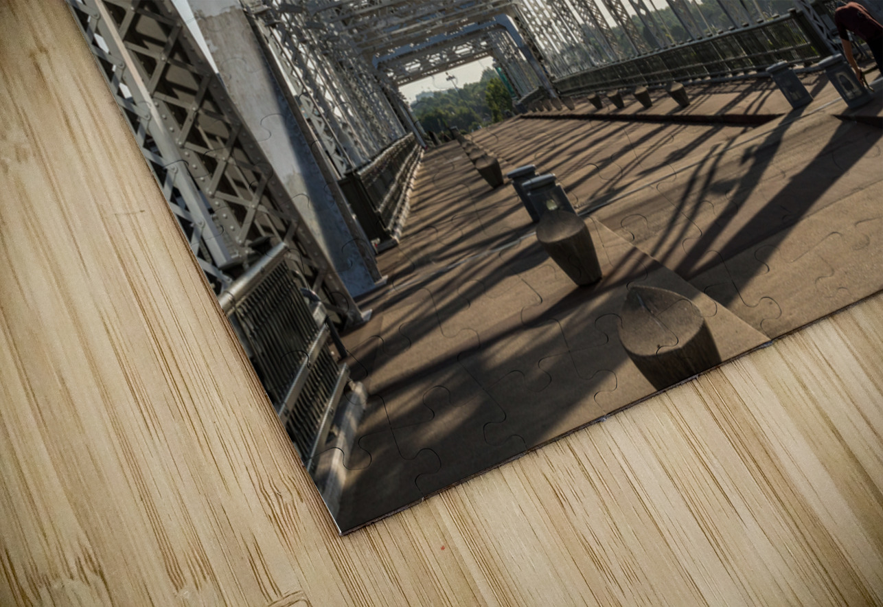 Cyclist on John Seigenthaler pedestrian bridge or Shelby street crossing Steve Heap Puzzle