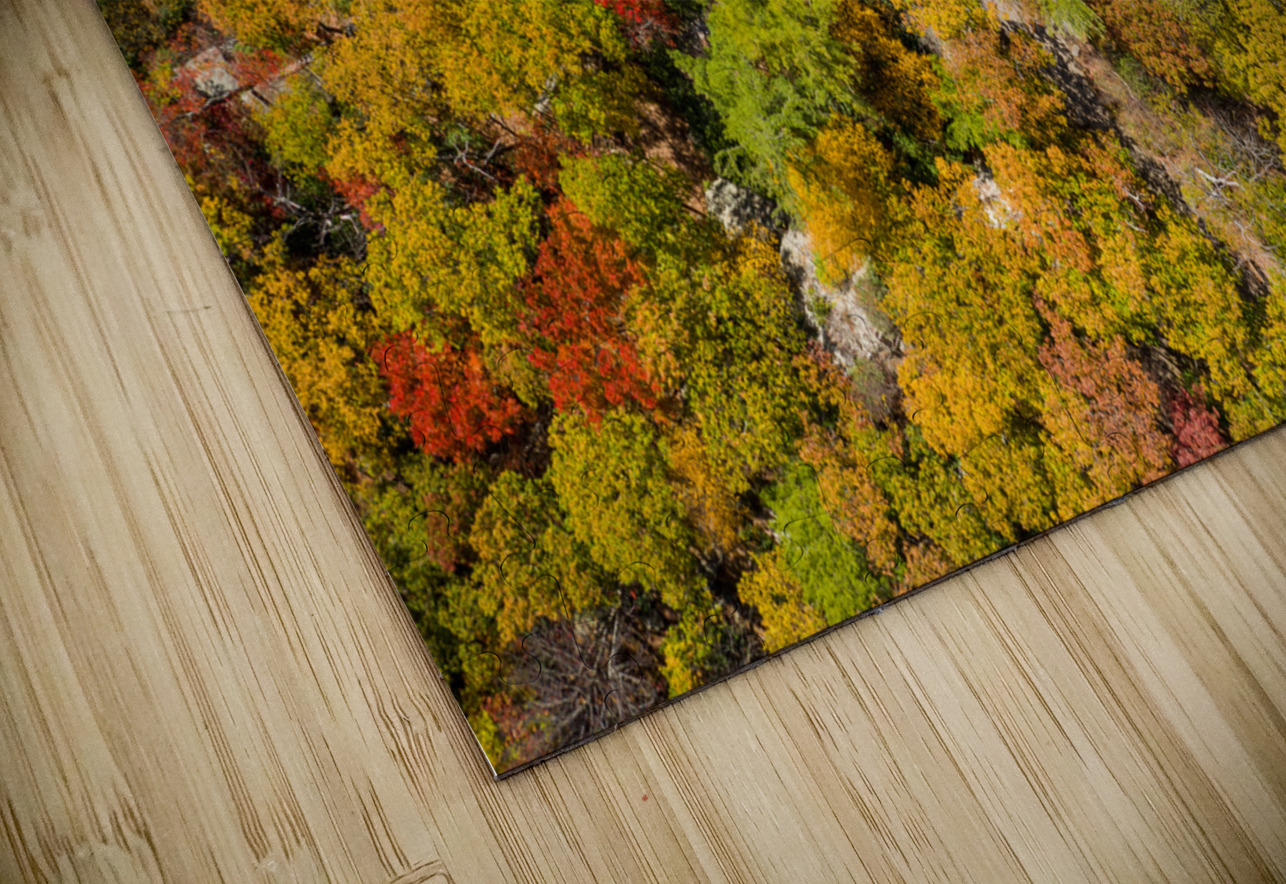 Vertigo Steve Heap Puzzle