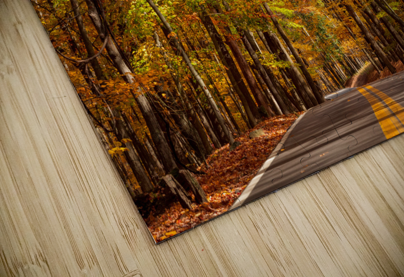 Road leading to Coopers Rock state park Steve Heap Puzzle