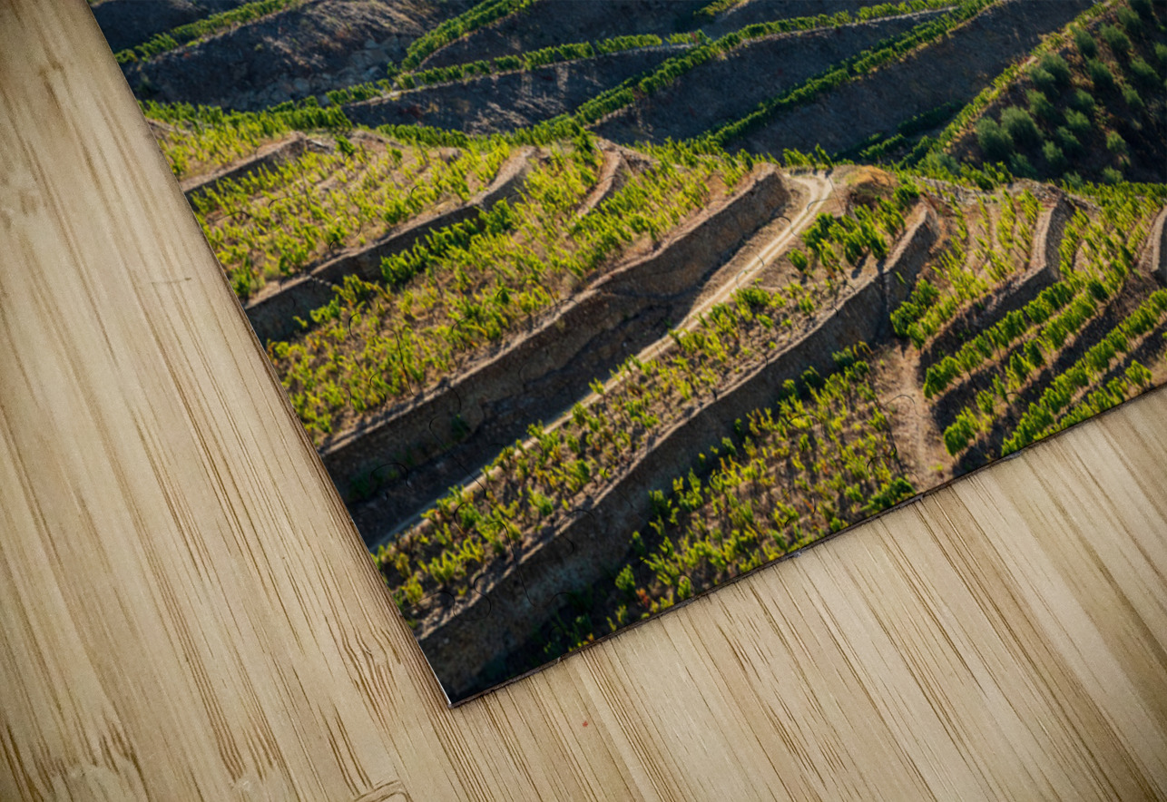 Rows of grape vines in Quinta do Seixo by the Duoro Steve Heap Puzzle