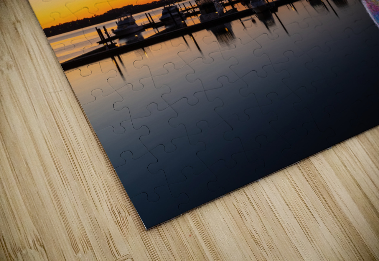 Ferris wheel at National Harbor at sunset Steve Heap Puzzle