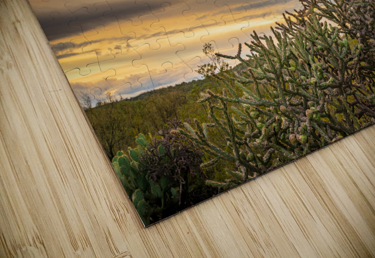 Sunset in Saguaro National Park Tucson Steve Heap Puzzle