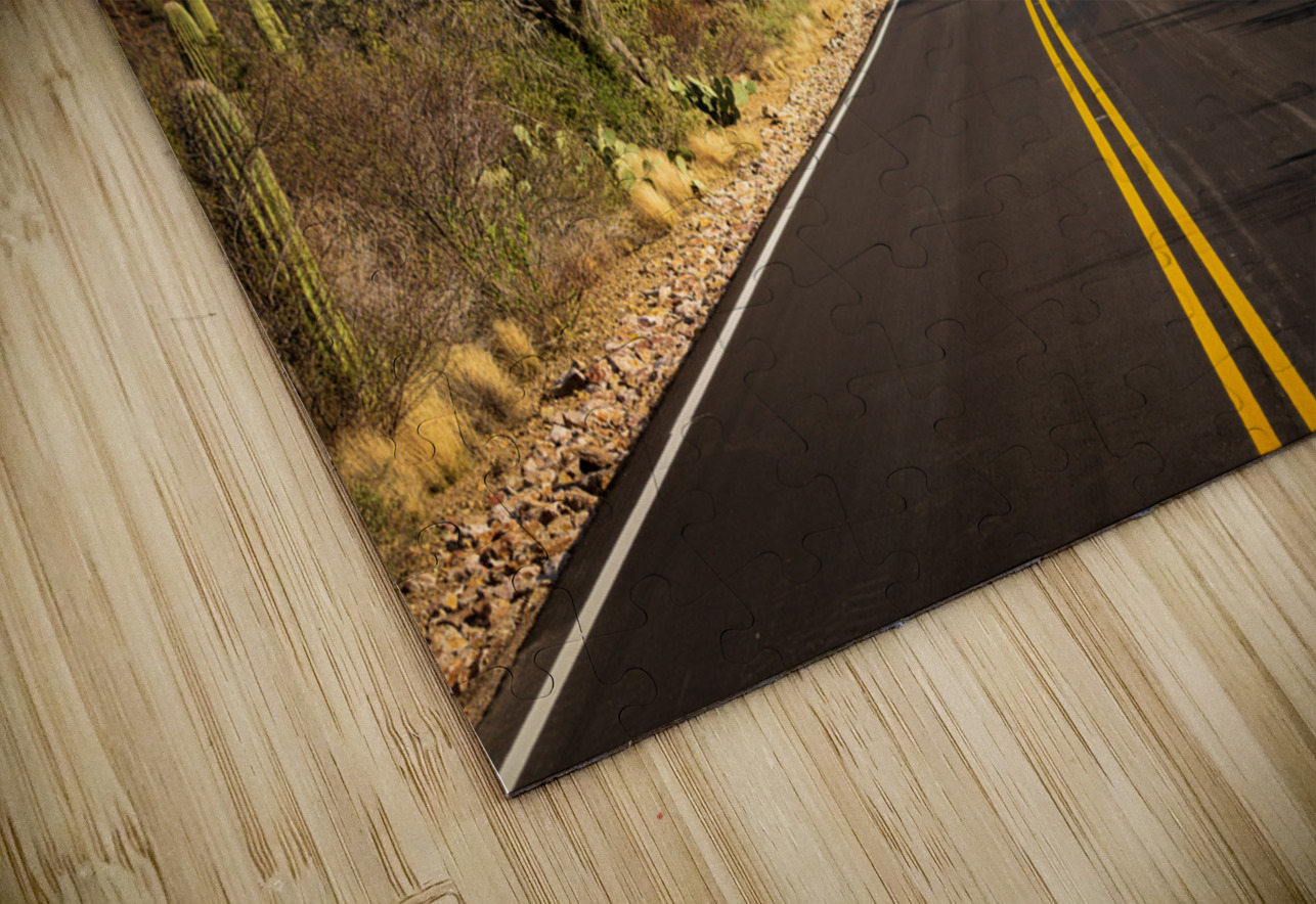 Road and cactus in Saguaro National Park Steve Heap Puzzle