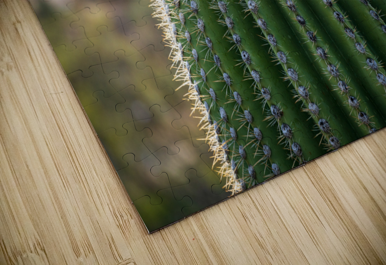 Ouch - close up of top of saguaro cactus Steve Heap Puzzle