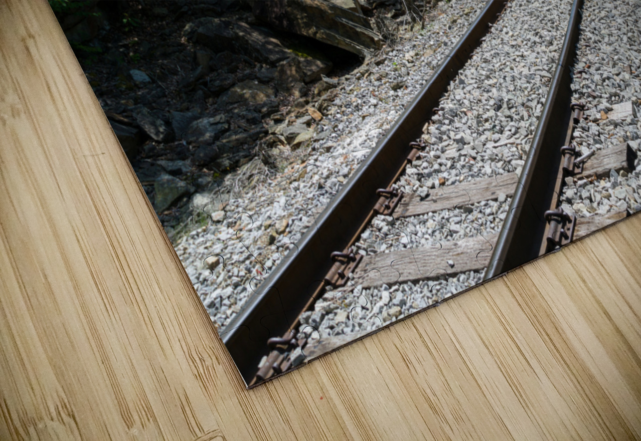 Old railway track at High Falls of Cheat Steve Heap Puzzle