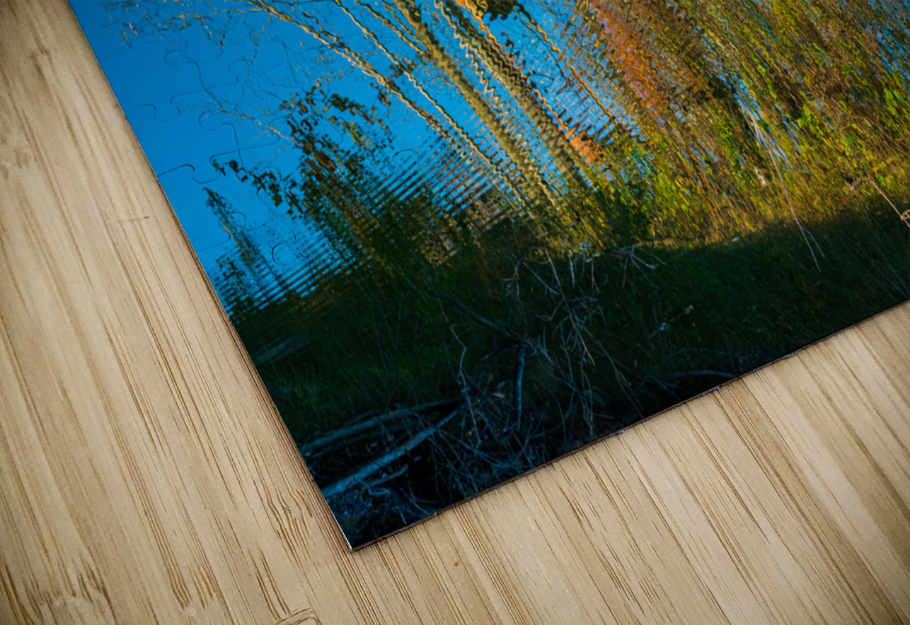 Ferris Wheel ride at abandoned funfair  Steve Heap Puzzle