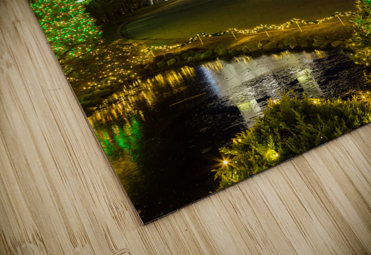 Mormon temple in Washington DC with xmas lights Steve Heap Puzzle