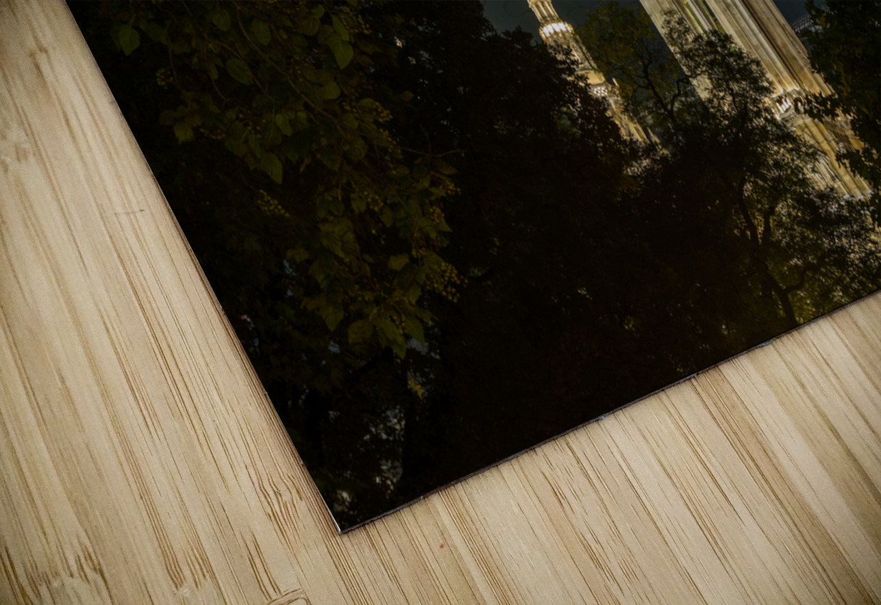  Rathaus in Vienna Austria Steve Heap Puzzle