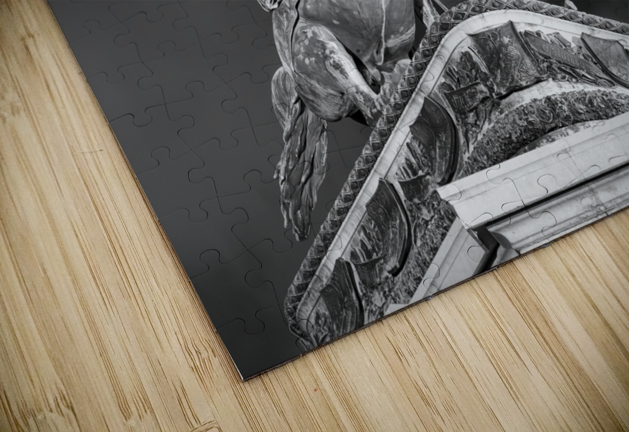 Equestrian statue Heldenplatz Vienna Austria Steve Heap Puzzle