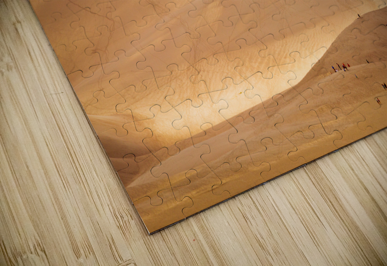 People on Great Sand Dunes NP  Steve Heap Puzzle