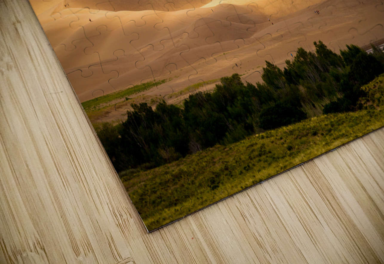 People on Great Sand Dunes NP  Steve Heap Puzzle