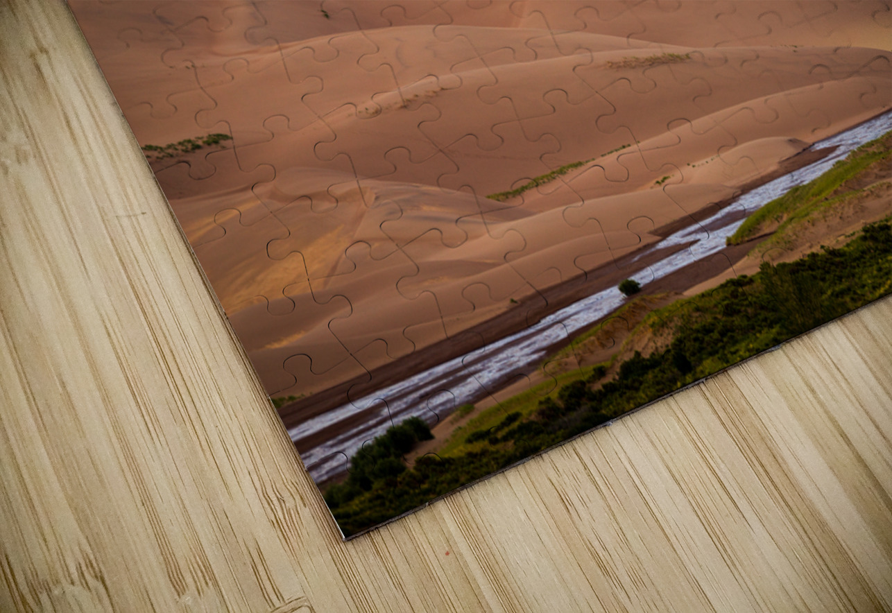 Detail of Great Sand Dunes NP  Steve Heap Puzzle