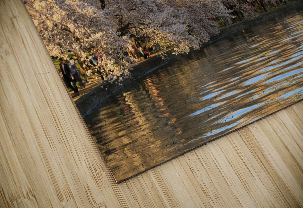 Washington Monument towers above blossoms Steve Heap Puzzle