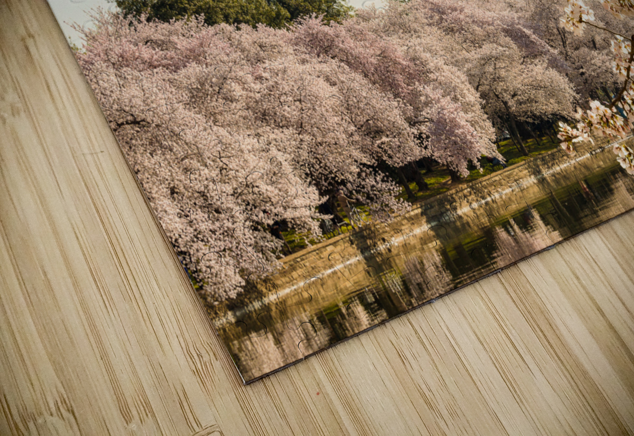 Washington Monument towers above blossoms Steve Heap Puzzle