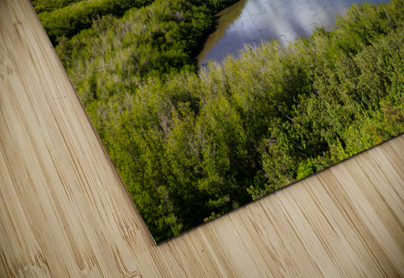 Menehune fishpond Kauai Hawaii Steve Heap Puzzle