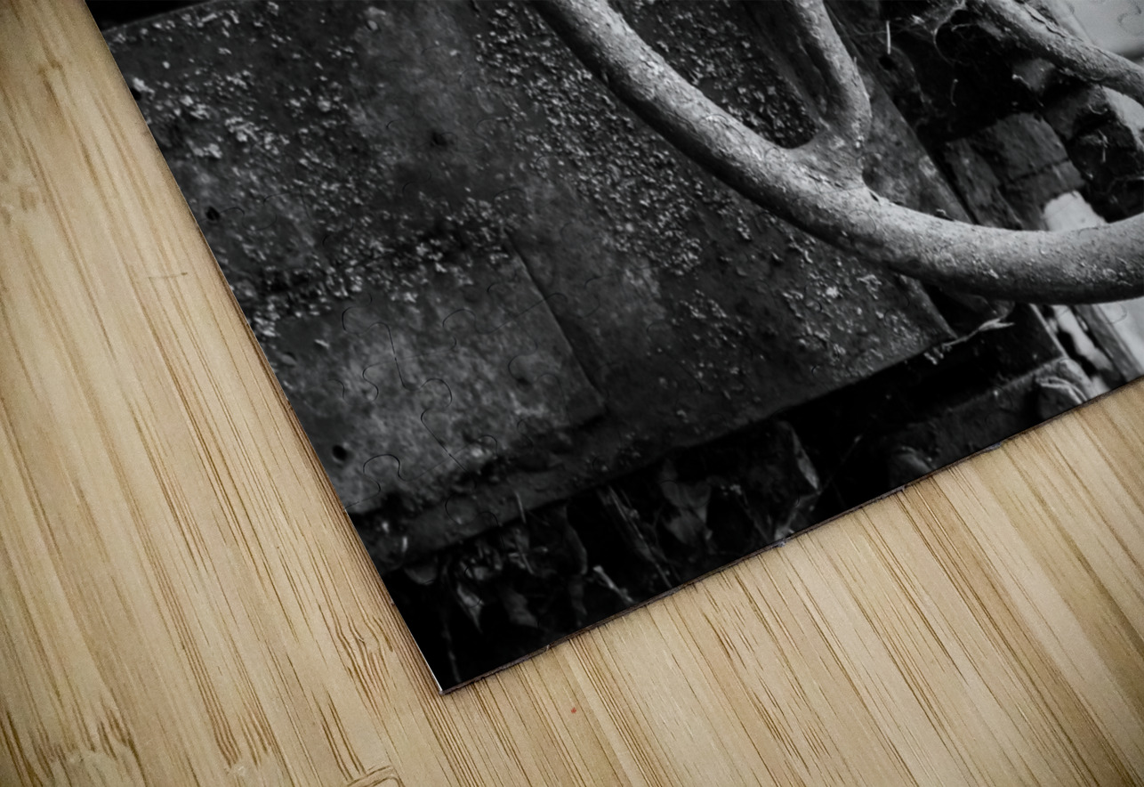 Moss covered farm machinery with handle Steve Heap Puzzle