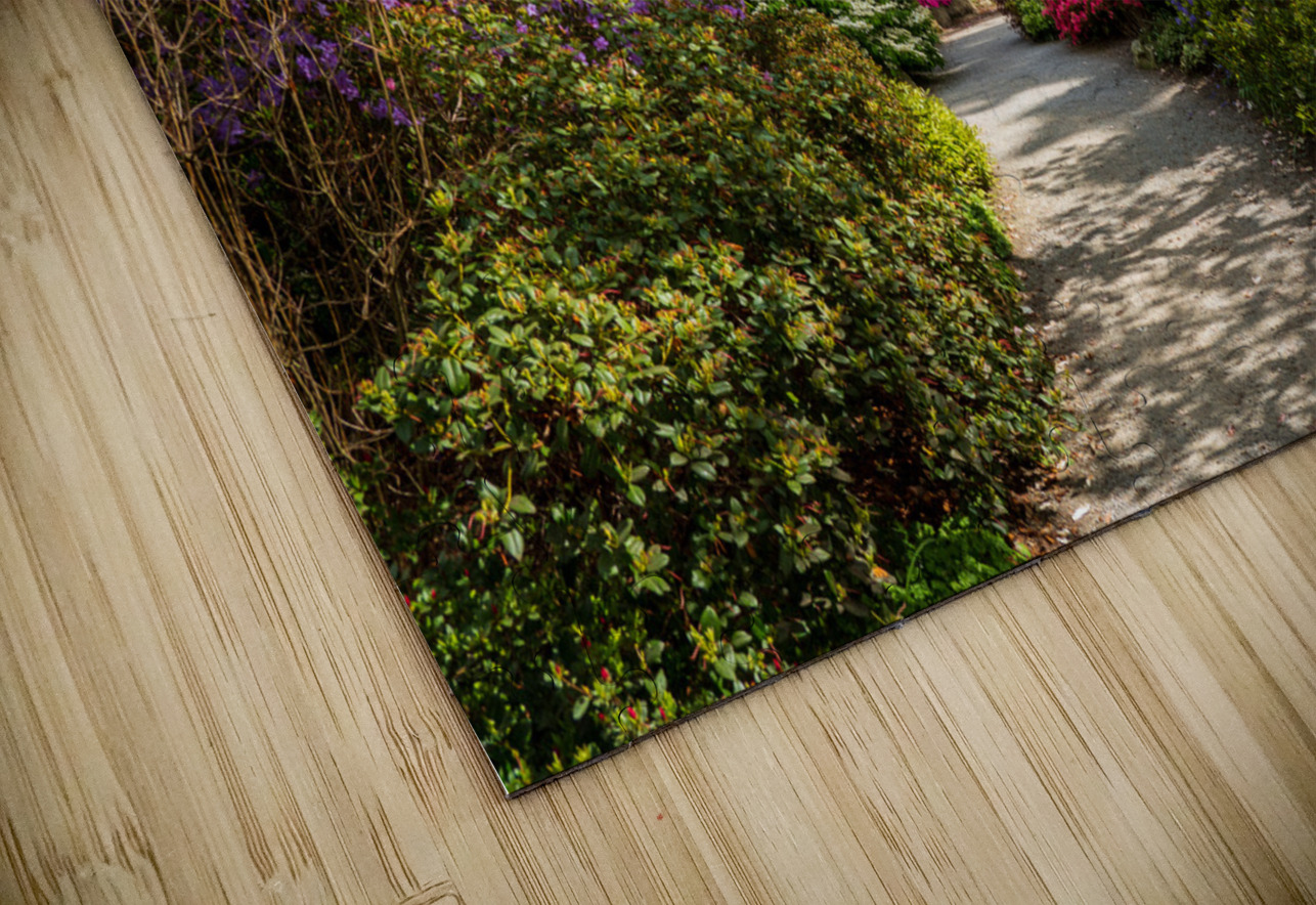 Pathway through Azaleas and Rhododendron trees in spring Steve Heap Puzzle