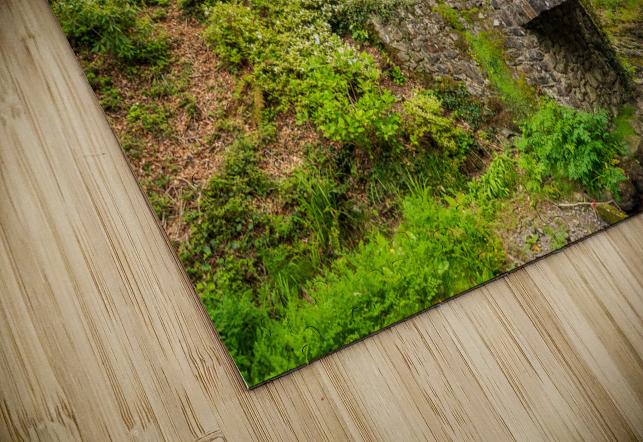 Stone bridge with Azaleas and Rhododendron trees Bodnant Steve Heap Puzzle