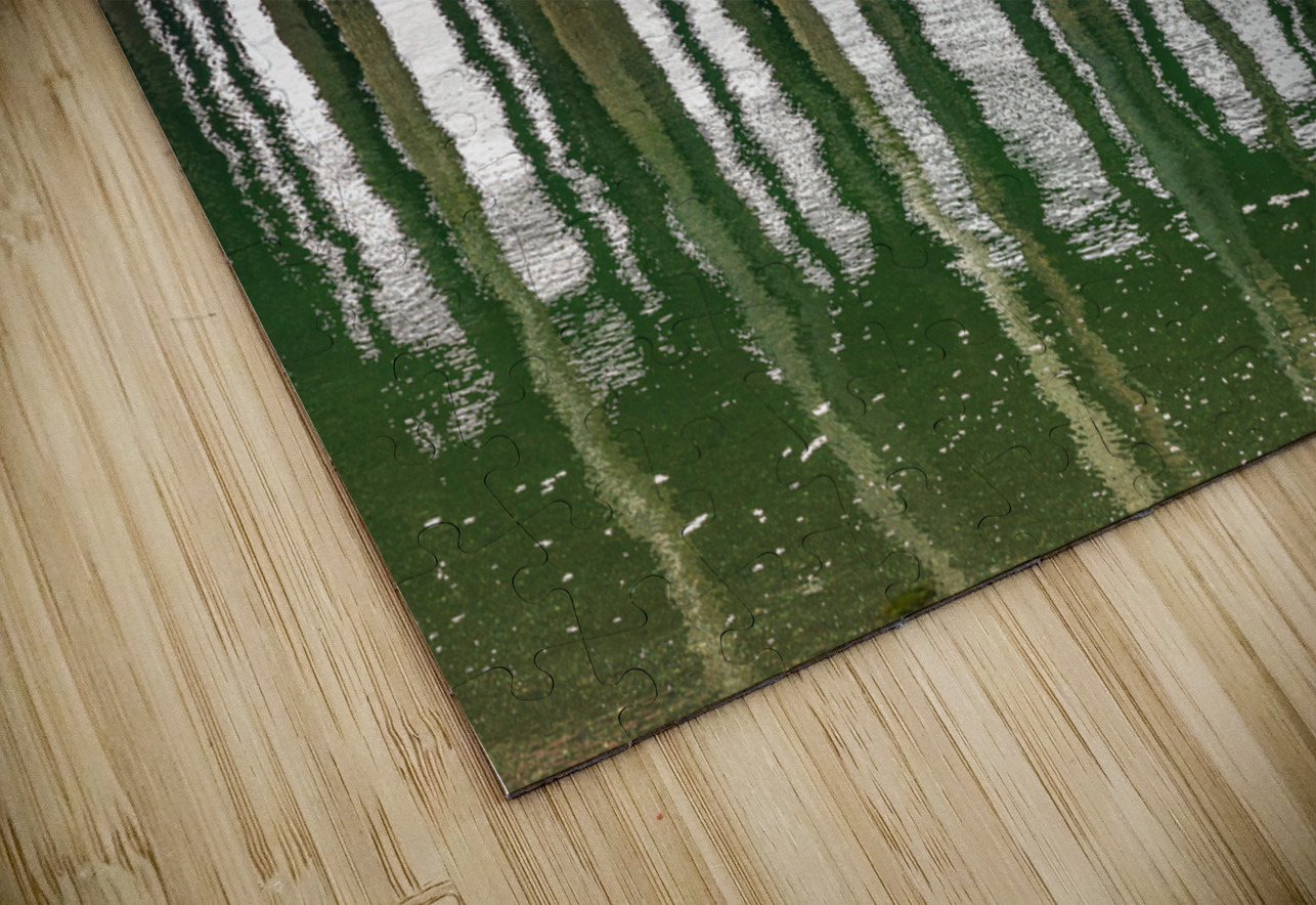 Old wooden pier structure in bay at Icy Strait Point in Alaska Steve Heap Puzzle