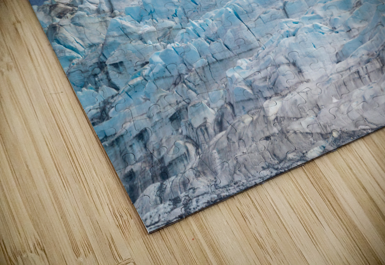 The Mendenhall glacier near Juneau in Alaska Steve Heap Puzzle