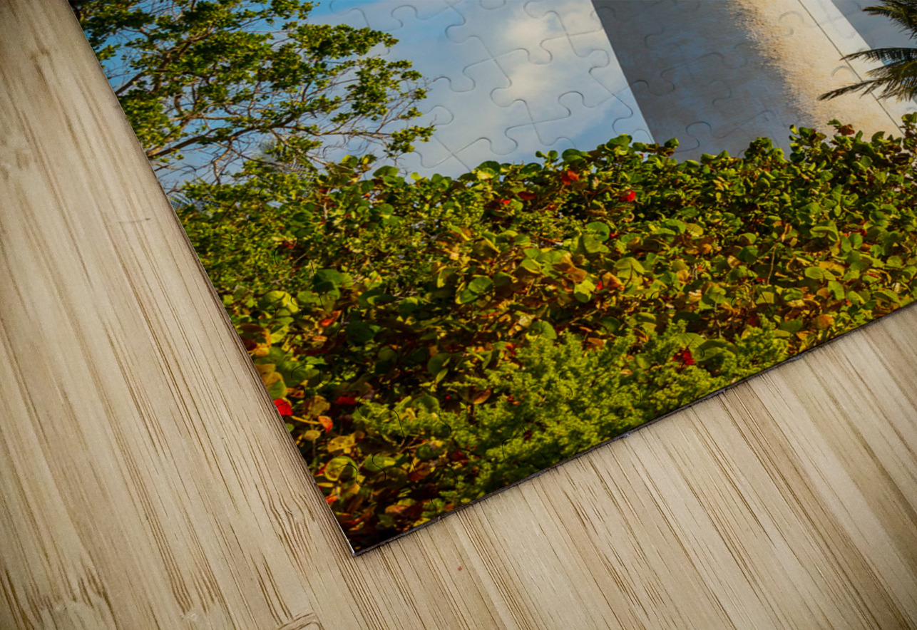 Vertical view of Cape Florida lighthouse in Bill Baggs Steve Heap Puzzle