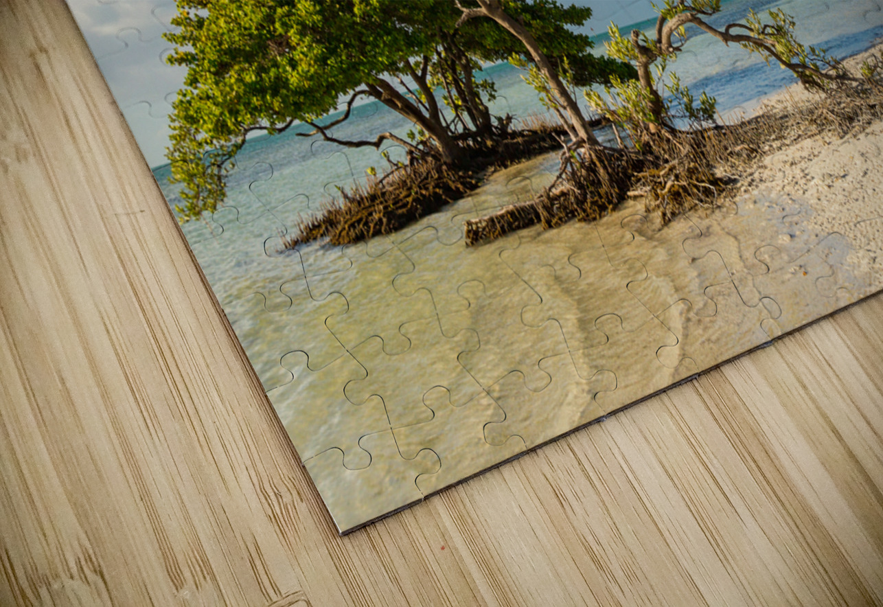 Florida Keys Annes Beach Steve Heap Puzzle