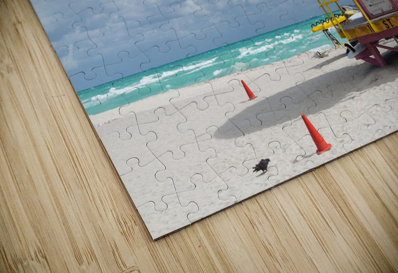 Round pink lifeguard station on Miami beach Steve Heap Puzzle