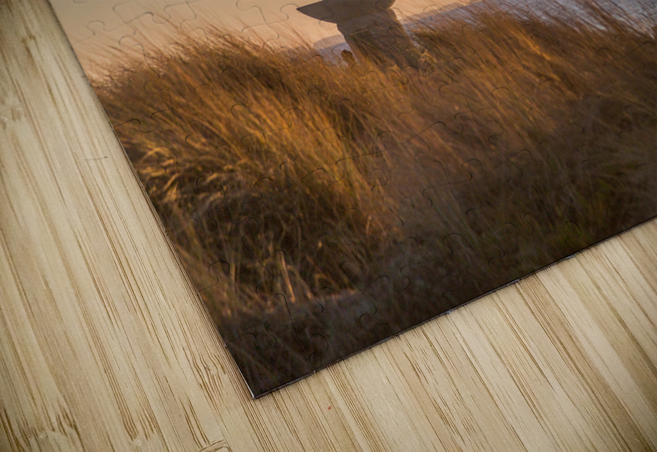 Mermaid statue entrance Ventura harbor Steve Heap Puzzle