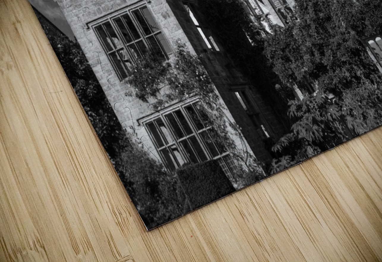 Abandoned historic British building in monochrome Steve Heap Puzzle