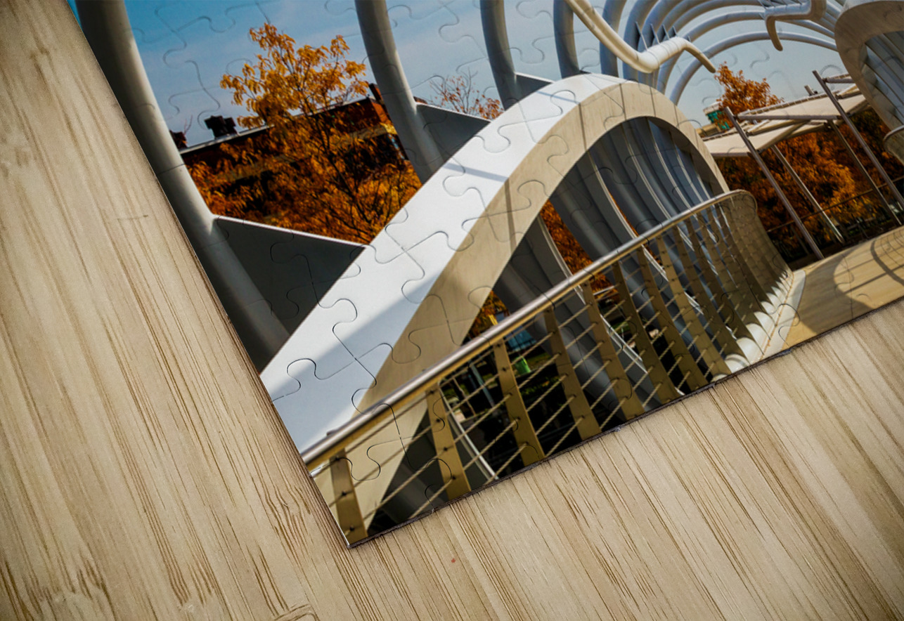 Pedestrian Bridge across canal in Yards Park Steve Heap Puzzle