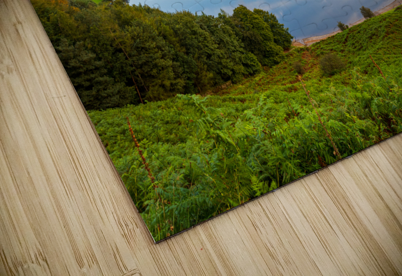 Lake Grasmere at dawn in Lake District Steve Heap Puzzle