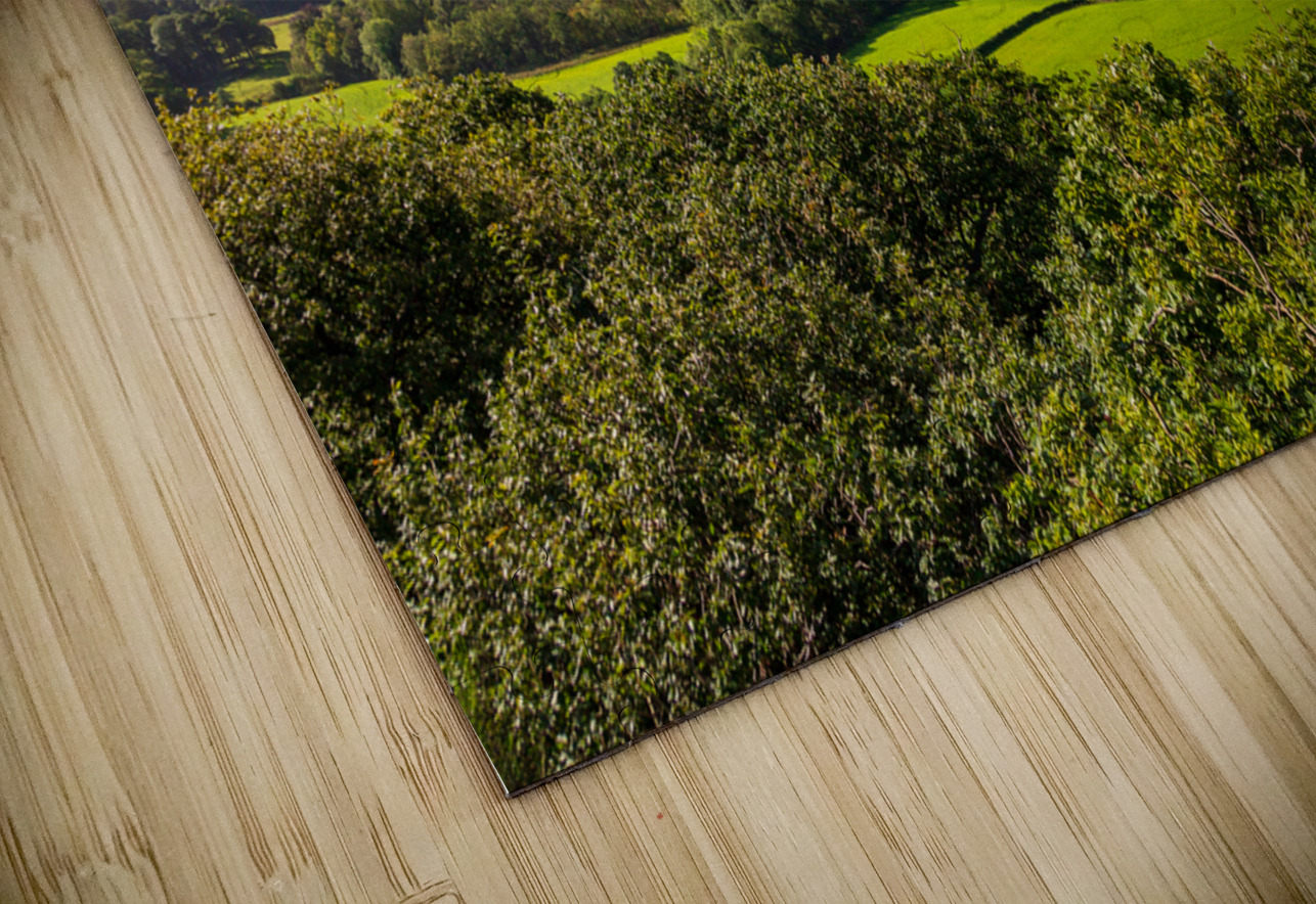 Derwent Water from Castlehead viewpoint Steve Heap Puzzle