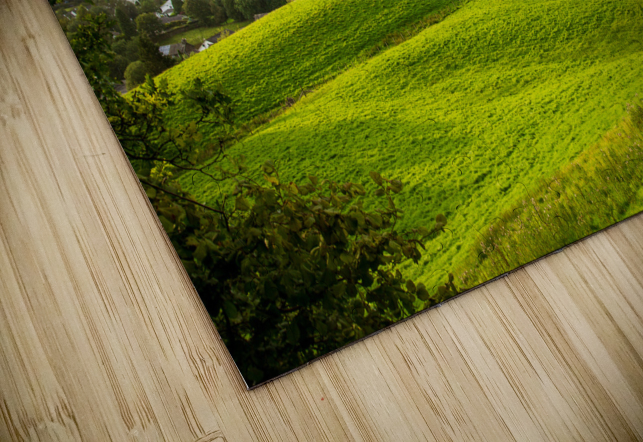 View over fields to Ambleside Lake District Steve Heap Puzzle