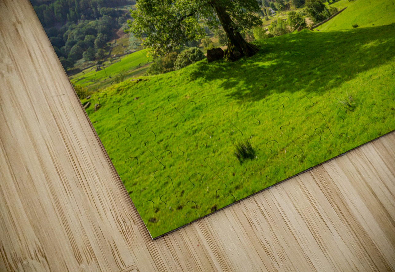 Tree with Langdale Pikes in Lake District Steve Heap Puzzle