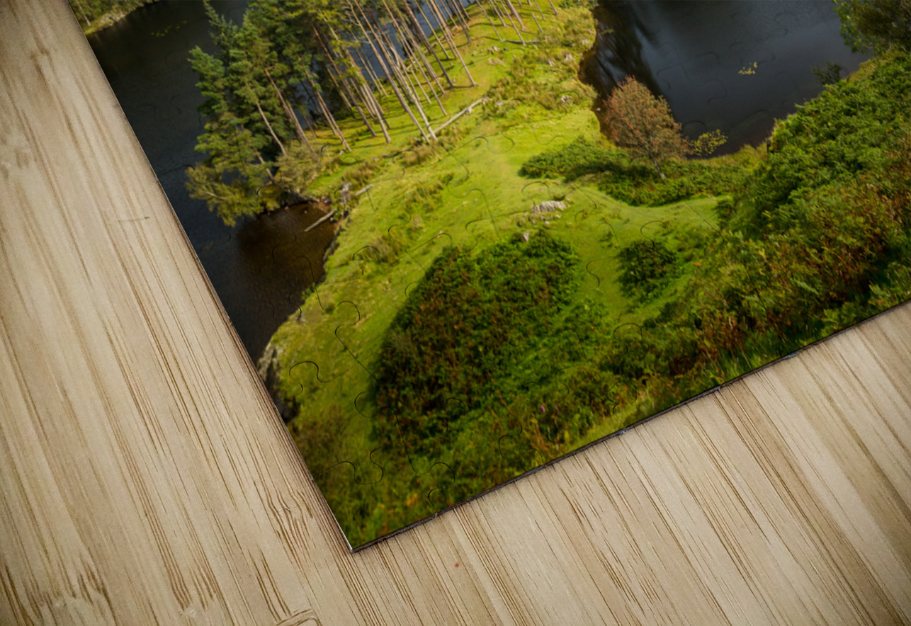 Clouds over Tarn Hows in English Lake District Steve Heap Puzzle