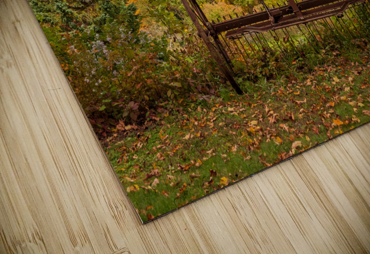 Horse drawn rake by fall colors in Vermont Steve Heap Puzzle