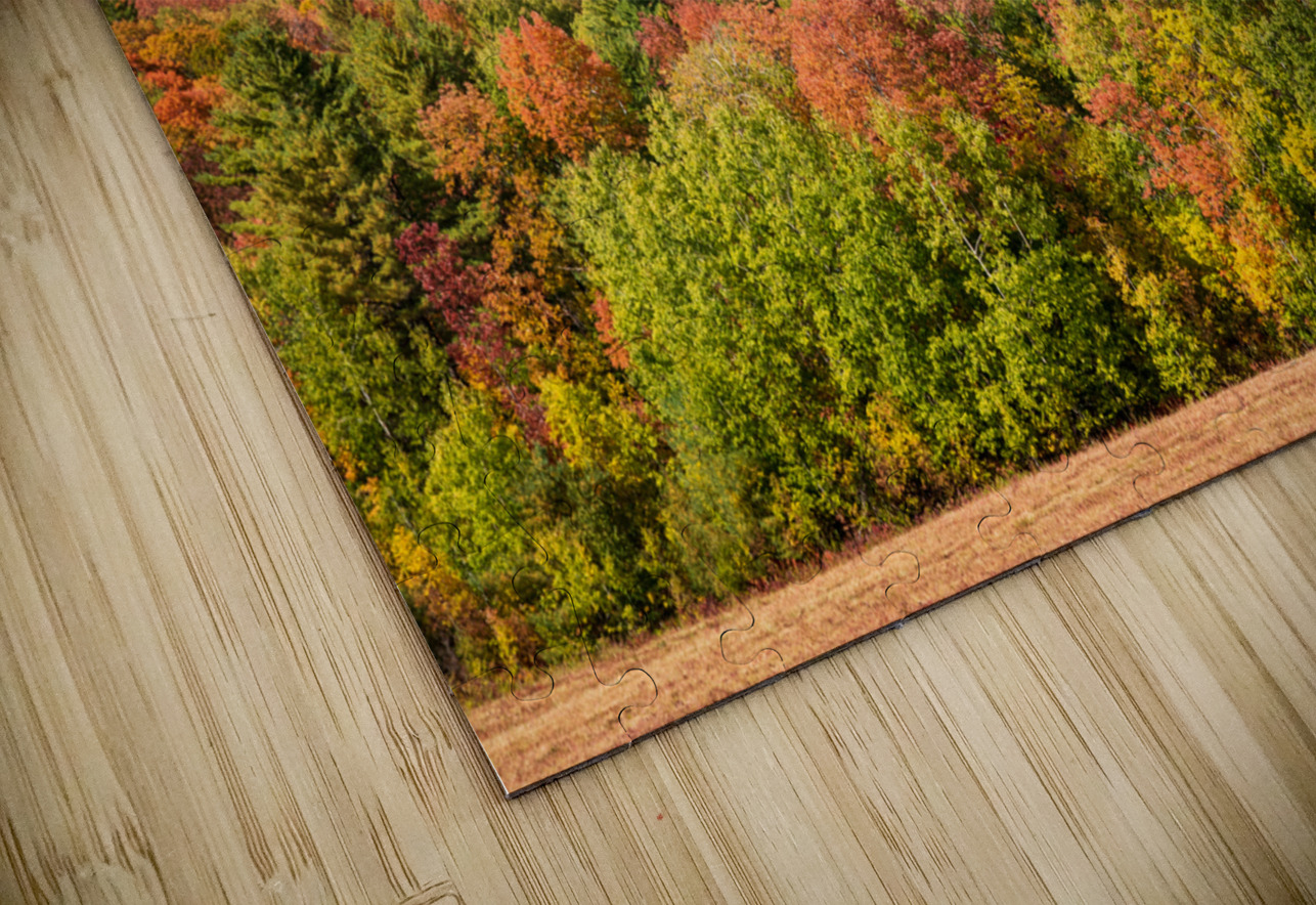 Multi-colored hillside in Vermont during the fall Steve Heap Puzzle