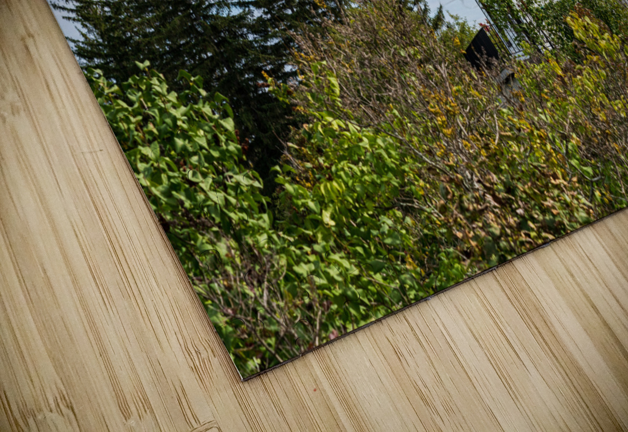 Old Colchester Reef lighthouse in Shelburne Steve Heap Puzzle