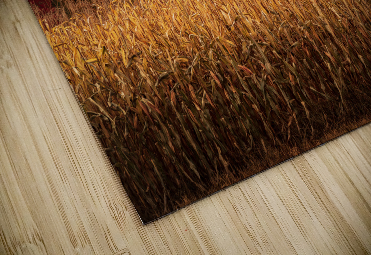 Multi-colored fall landscape in Vermont Steve Heap Puzzle