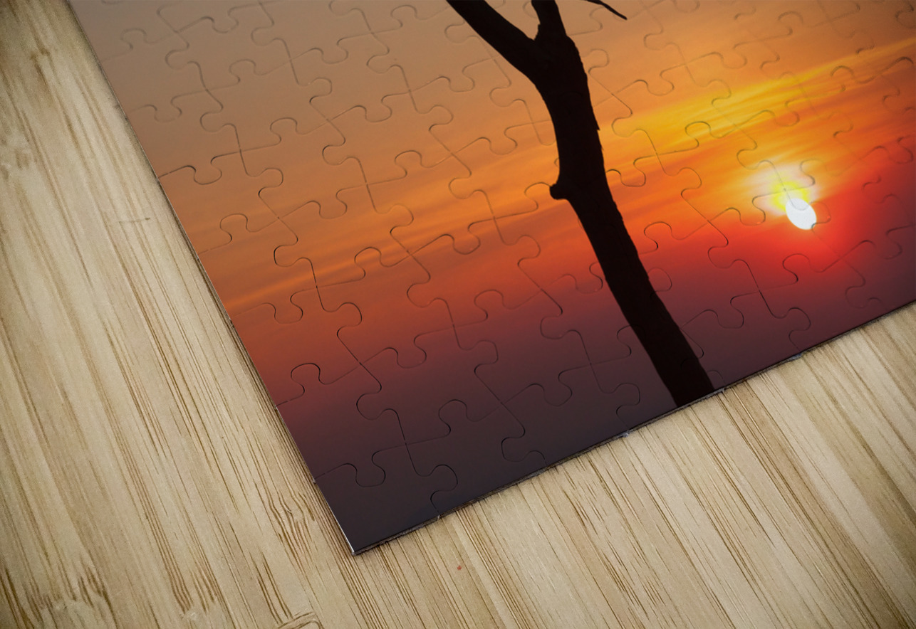 Gnarled tree on Skyline drive in Virginia Steve Heap Puzzle