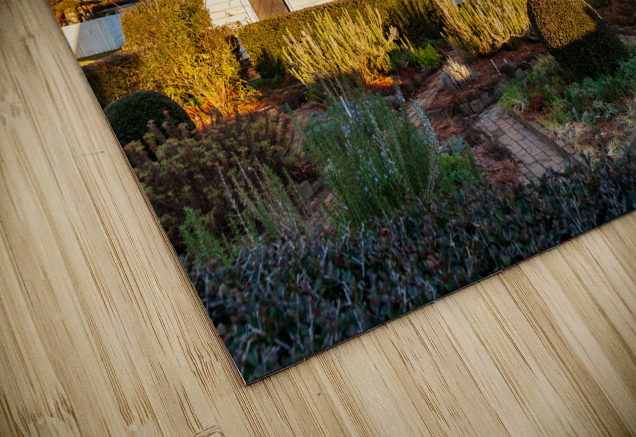 Old house and garden in Colonial Williamsburg Steve Heap Puzzle