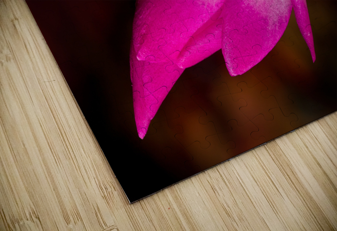 Christmas Cactus Flower  Steve Heap Puzzle