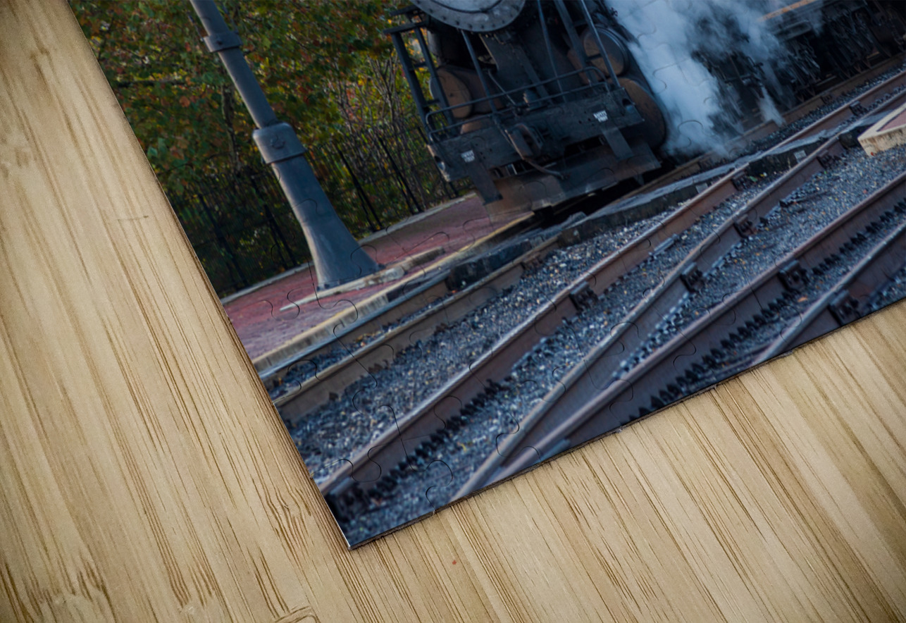 Steam train in Cumberland station Steve Heap Puzzle