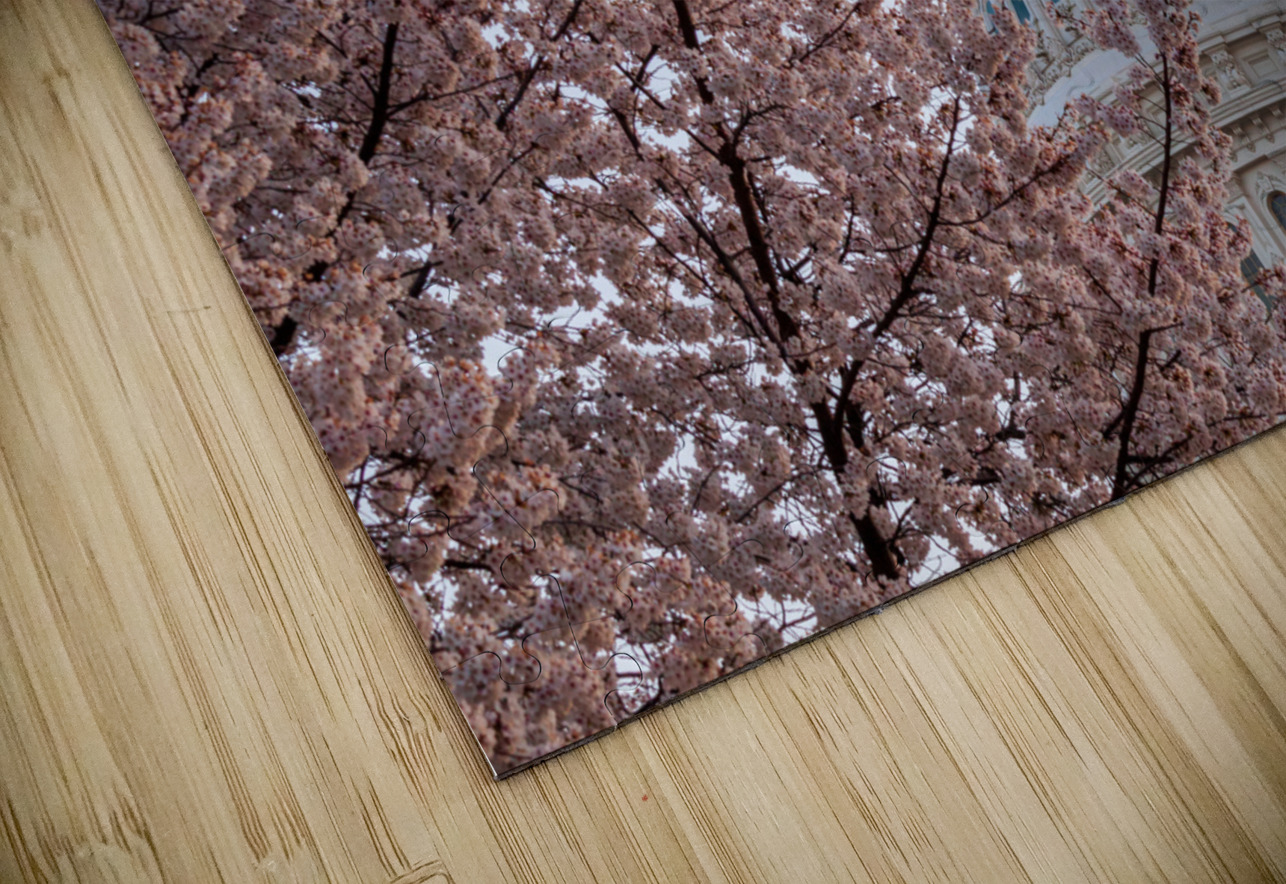 Cherry blossoms by the Capitol dome at dawn Steve Heap Puzzle