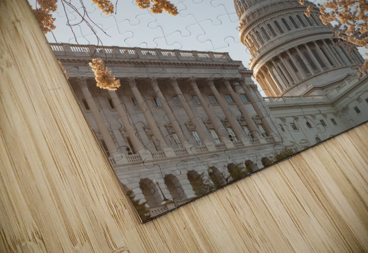 Cherry blossoms framing the Capitol Steve Heap Puzzle